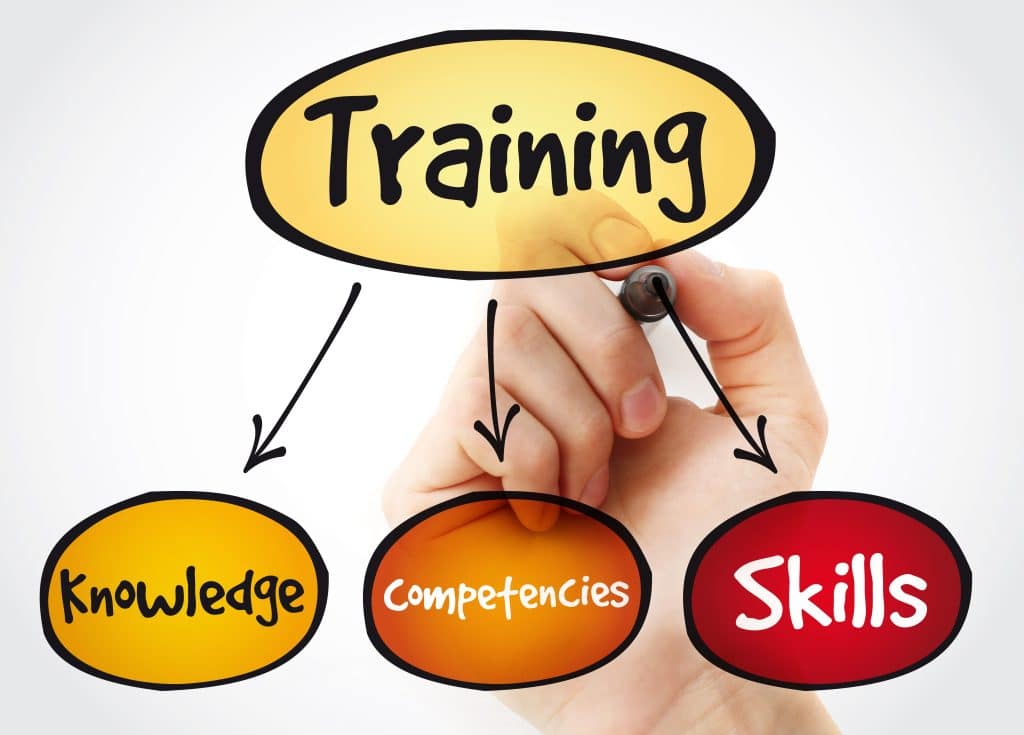 Training components mind map with marker, business concept